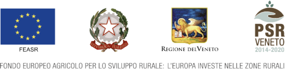 Fondo europeo agricolo per lo sviluppo rurale